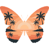 Sunset butterfly on the beach