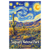 Saguaro National Park, Arizona Starry Night