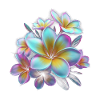 Regenbogen Plumeria Farbexplosion