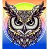 owl