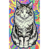 chat