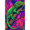 Gecko