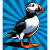 puffin