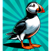 puffin