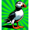puffin
