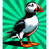 puffin