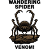 Araignée Bananière Venin Danger Wandering Spider