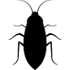 Cafard
