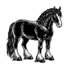 Clydesdale Pferd