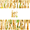 Herbst Schrift