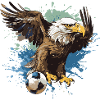 Adler Fussball Team
