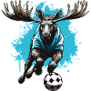 Moose Football Team
