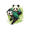 Panda Football Team