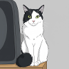 Cat Next to TV