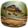Spiegelkarpfen-Unterwasserfischerei-Design