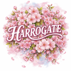 Harrogate Blossom 