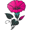 Pink Flower Floral Vintage Nature Design