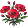 Poppies Red Floral Nature Design