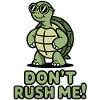 Don't Rush Me Shirt with Turtle