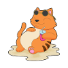 Cat Beach Drink Summer
