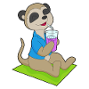Meerkat Beach Drink Summer