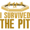 I Survived The Pit
