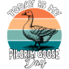 Pilgrim Gans Pilgrim Goose