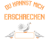 Taubenflüsterer brieftaubenzucht Taubenzüchter