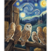 Sternennacht Schleiereule Van Gogh Kunst