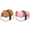 Kawaii Sushi Capybara & Axolotl Cute Sleeping