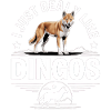 Dingo Animal Dog Sauvage Australien Design