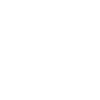 Yorkshire Terrier "Black Edition"