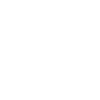English Pointer "Black Edition"
