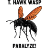 Guêpe Pepsis Danger Paralyse Tarantula Hawk