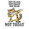 Not Today Funny Cat Sarcasm Design