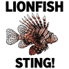 Rascasse Volante Lionfish Danger Sting Noir