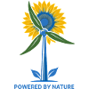 Sunflower Power of nature