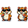 Sun hamster cocktails