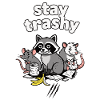 Stay trashy. Funny raccoon