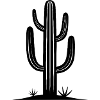 Saguaro Cactus