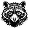 Racoon