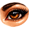 Fiery Brown Eye Close-up