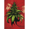 Green Hemp Leaf Illustration on Red