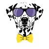 Dalmatian Dog Sunglasses Bow Tie