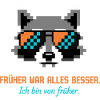 Waschbär Pixel Art Retro Nostalgie