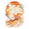 Dirtbike Dirt Bike Motocross