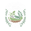 Terrarium Life Frog Terraristics