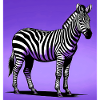 zebra