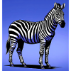 zebra