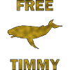 Humpback Whale Timmy